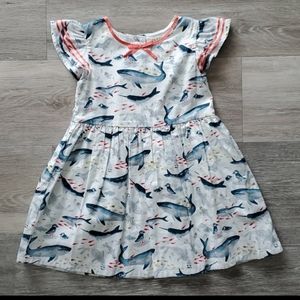 4T Girls Dresses